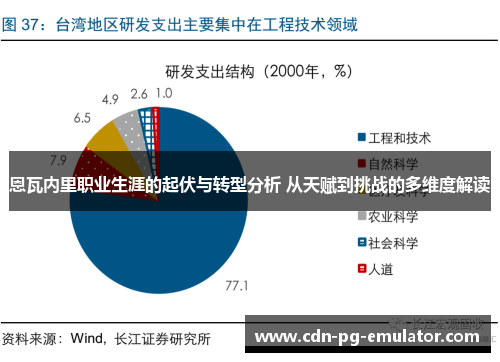 恩瓦内里职业生涯的起伏与转型分析 从天赋到挑战的多维度解读