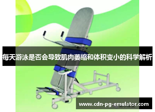 每天游泳是否会导致肌肉萎缩和体积变小的科学解析