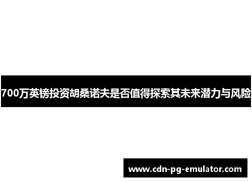 700万英镑投资胡桑诺夫是否值得探索其未来潜力与风险