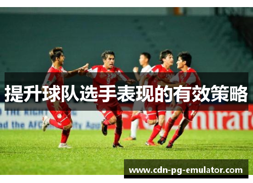 提升球队选手表现的有效策略