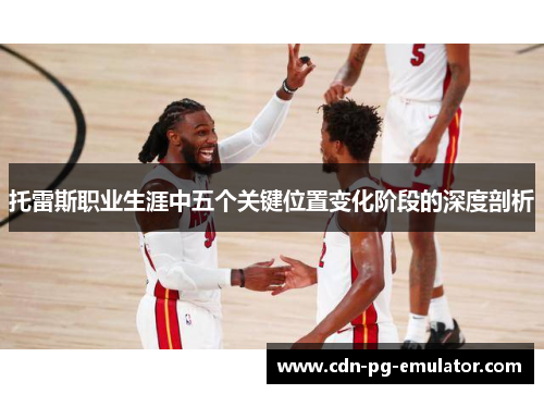 托雷斯职业生涯中五个关键位置变化阶段的深度剖析