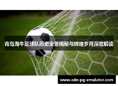 青岛海牛足球队历史全景揭秘与辉煌岁月深度解读