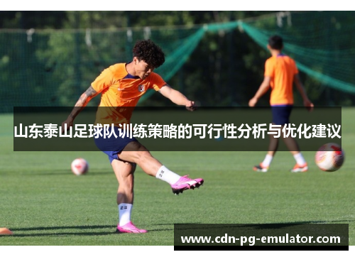 山东泰山足球队训练策略的可行性分析与优化建议