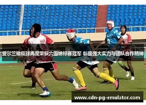 爱尔兰橄榄球再度荣获六国锦标赛冠军 彰显强大实力与团队合作精神