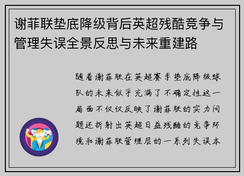 谢菲联垫底降级背后英超残酷竞争与管理失误全景反思与未来重建路