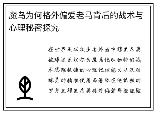 魔鸟为何格外偏爱老马背后的战术与心理秘密探究